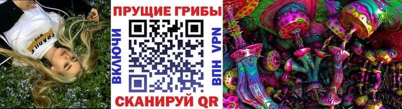 Псилоцибиновые грибы ЛСД  Купить где  Нарткала 