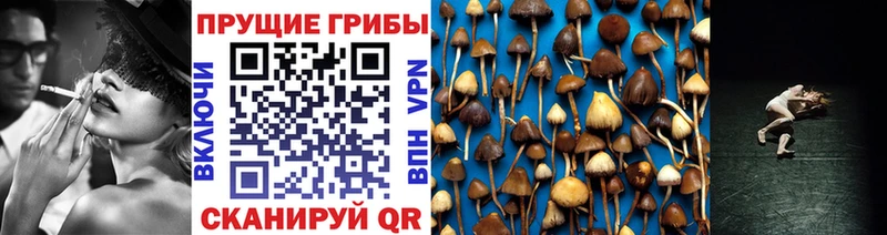 Галлюциногенные грибы мухоморы Нарткала