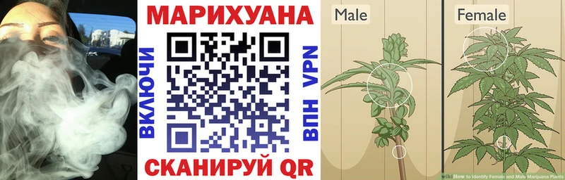 Купить закладки  Нарткала  Шишки марихуана гибрид 
